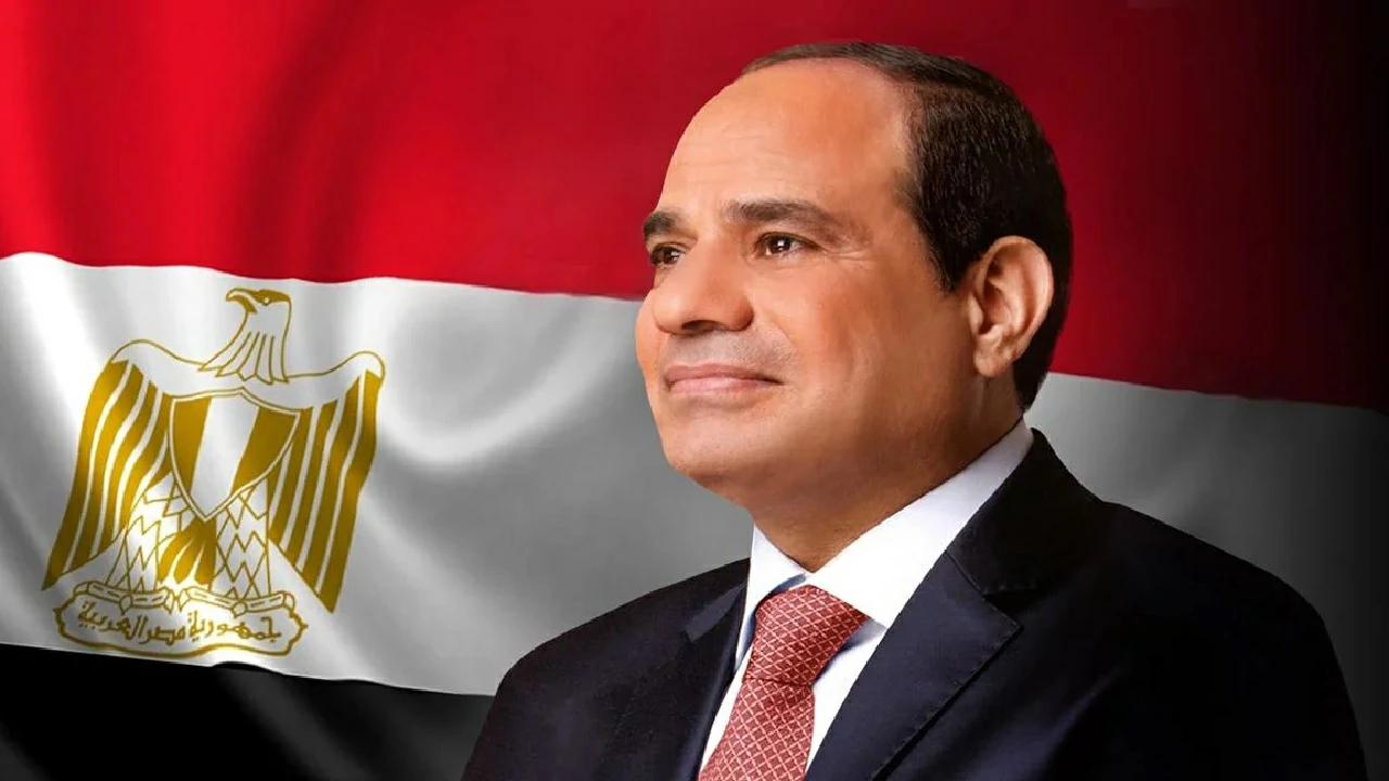 السيسي يؤكد على تعزيز دور القطاع الخاص فى التنمية وزيادة الصادرات