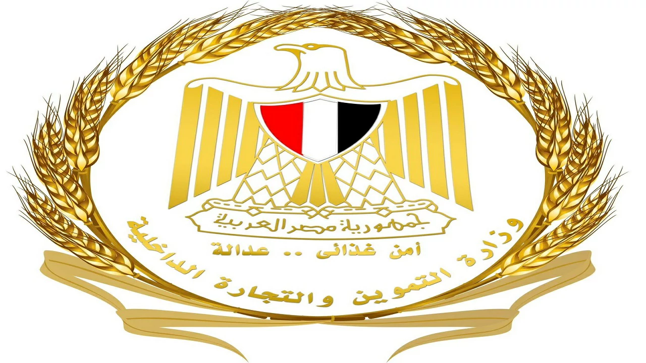 التموين: ضبط وإعدام 3 أطنان من الدواجن النافقة بالجيزة